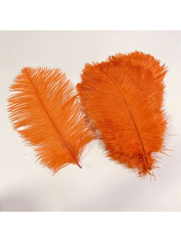 8-14 Inches Long Ostrich Feathers 