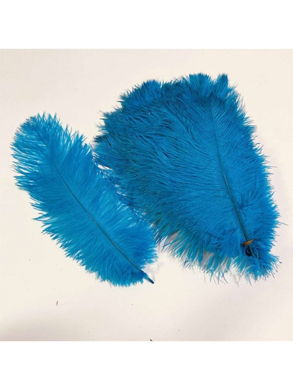 8-14 Inches Long Ostrich Feathers 