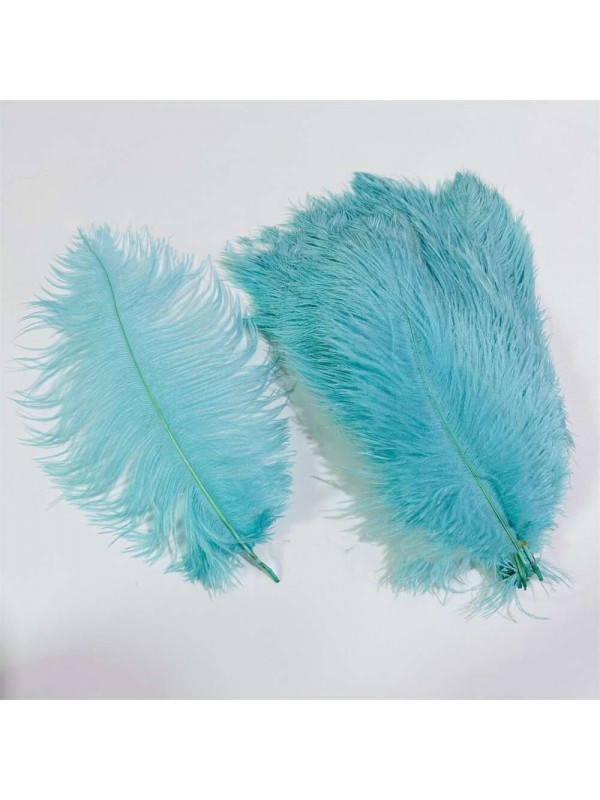 8-14 Inches Long Ostrich Feathers 