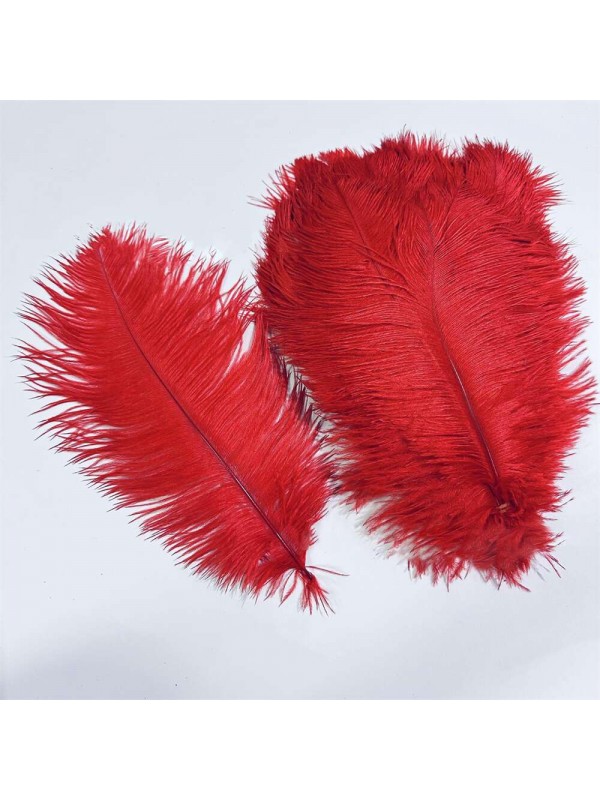 8-14 Inches Long Ostrich Feathers 