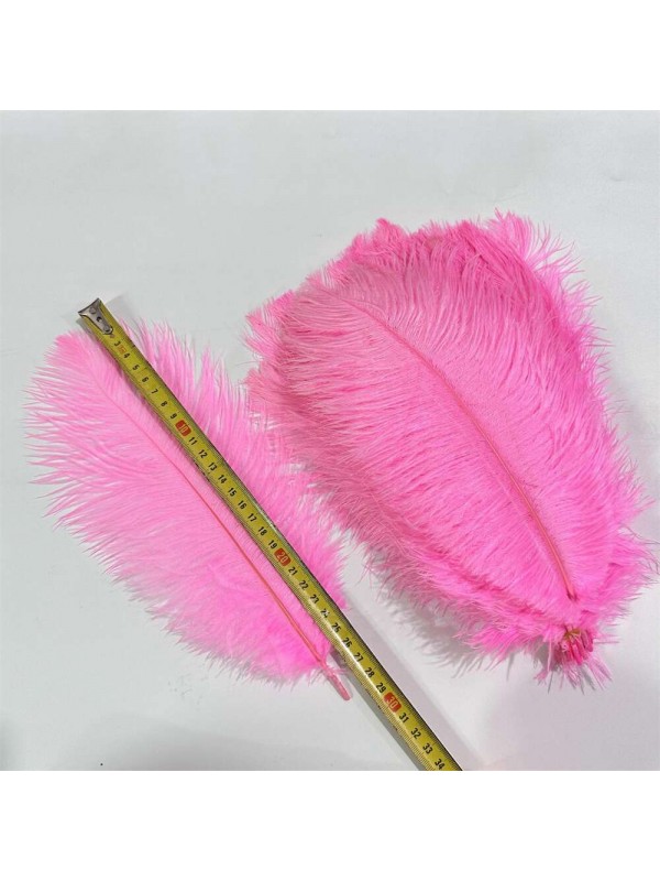 8-14 Inches Long Ostrich Feathers 