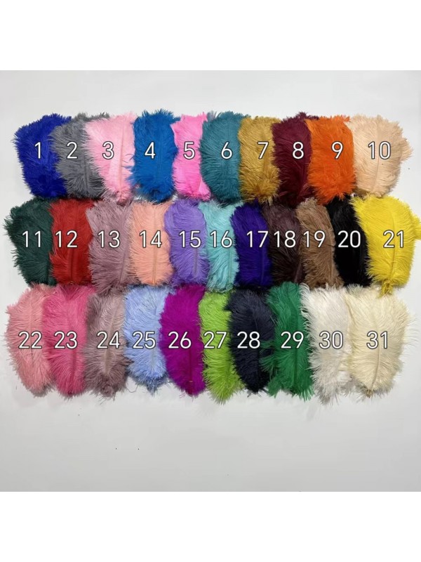 8-14 Inches Long Ostrich Feathers 
