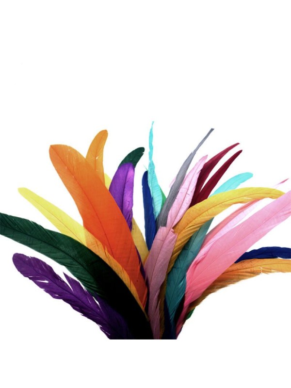12-14 Inches Long Rooster Tail Feathers (100pieces)