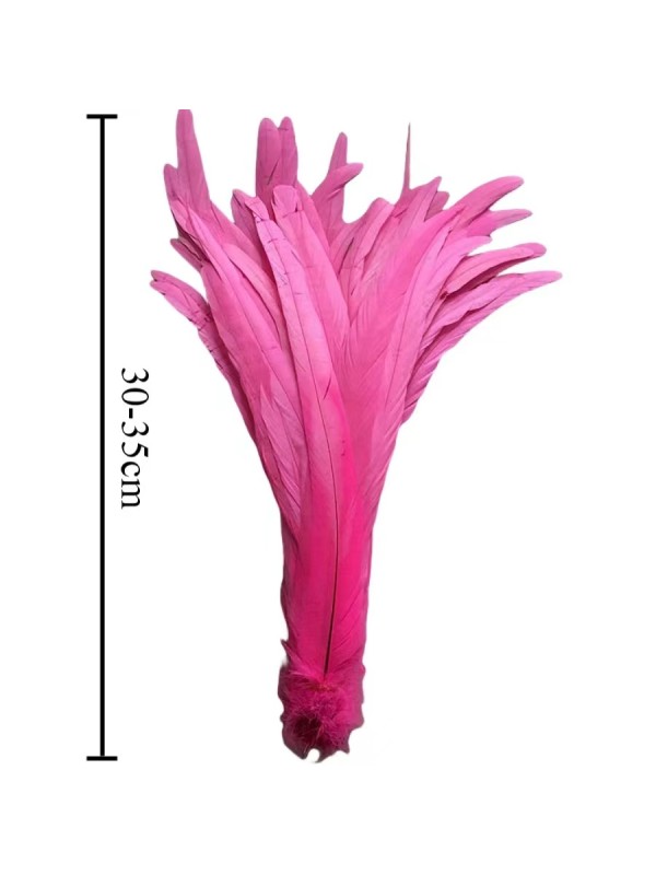 12-14 Inches Long Rooster Tail Feathers (100pieces)